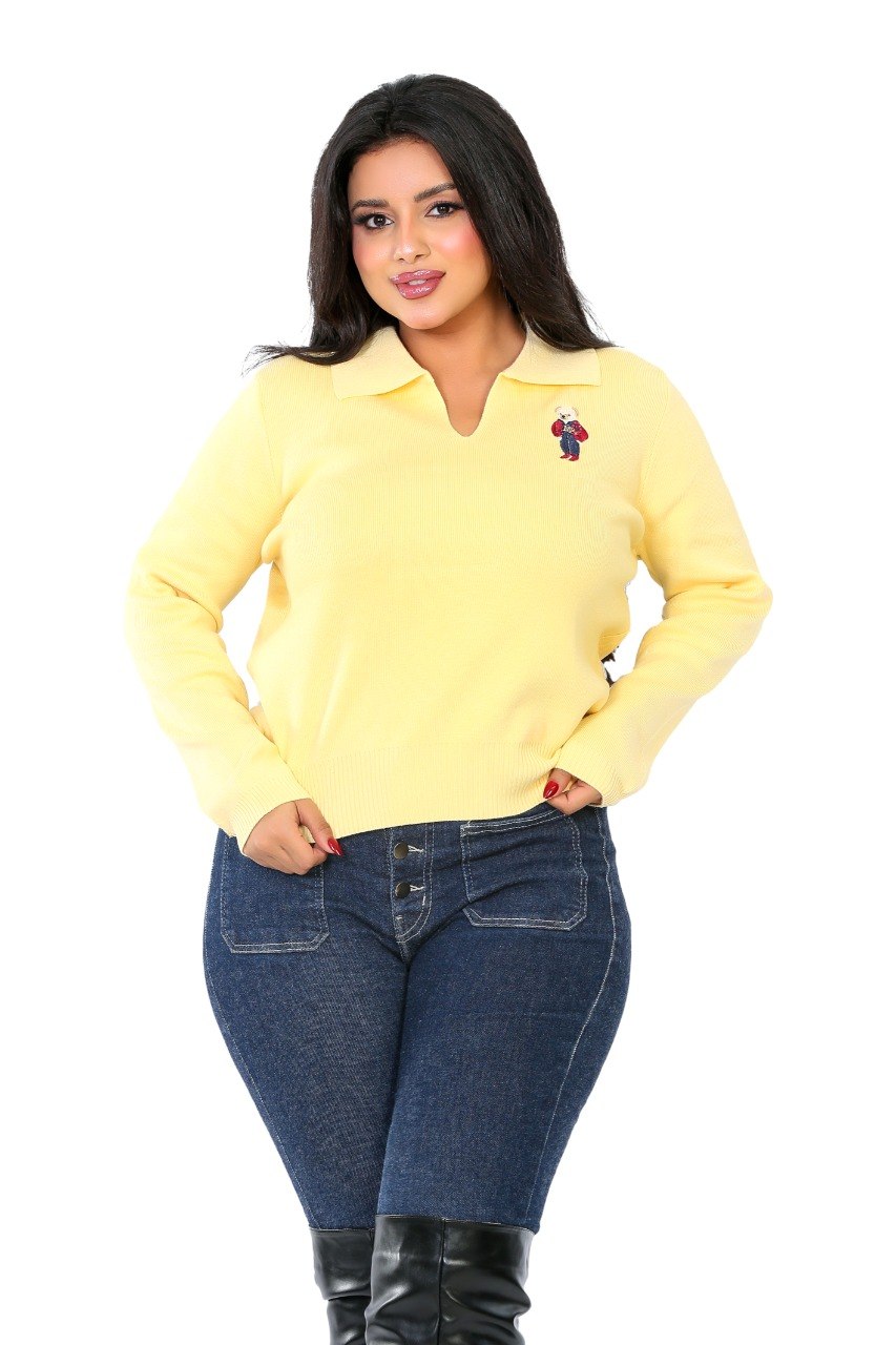 Embroidered Patch Collar Blouse - Yellow